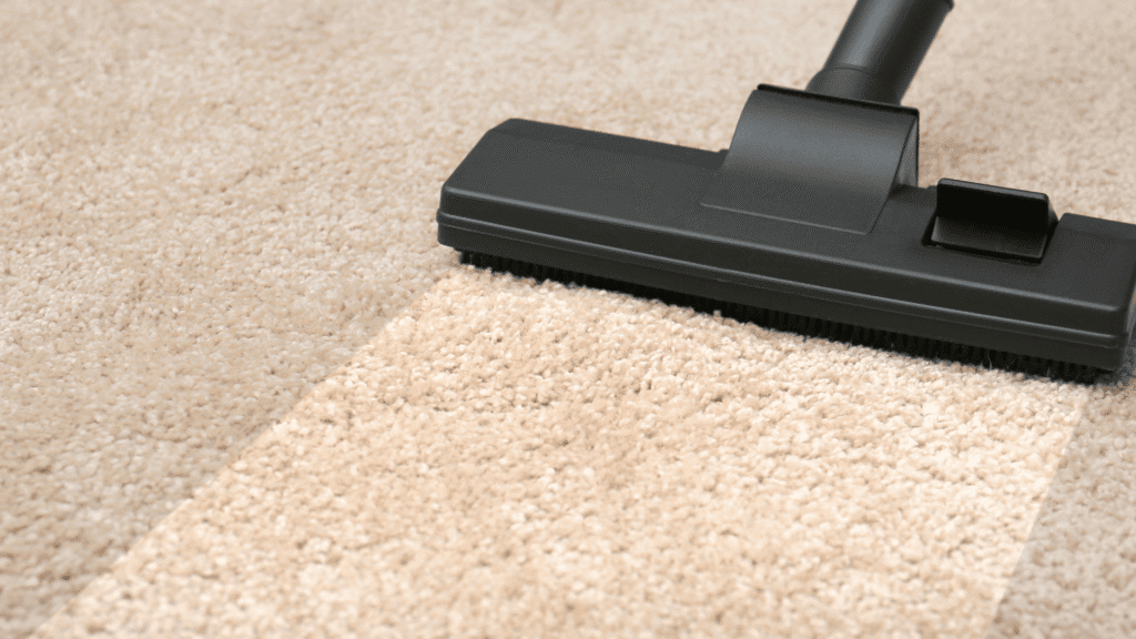 Area Rug Cleaning Service In Utah